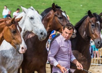 CEA DE A PATRA EDIȚIE A EVENIMENTULUI HAIDOOK SUMMER FEST LA RUNCU