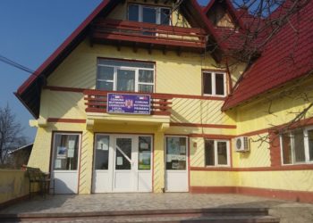 Crescătorii de albine, avertizați! Se fac stropiri contra insectelor de disconfort la Butimanu