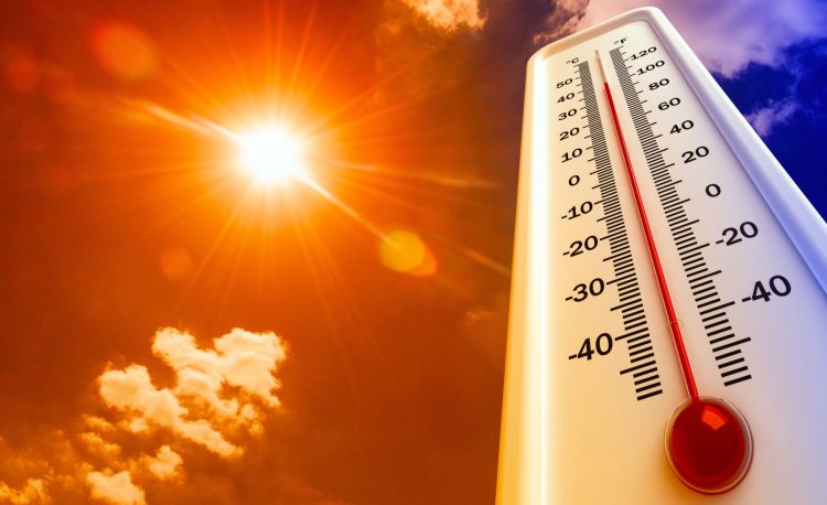 CANICULĂ ȘI VIJELII