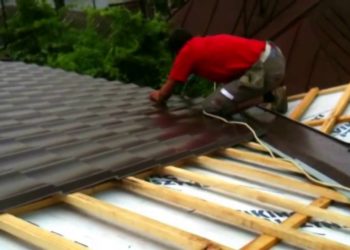 UN BARABAT DIN GURA ȘUȚII A CĂZUT DE PE ACOPERIȘUL CASEI