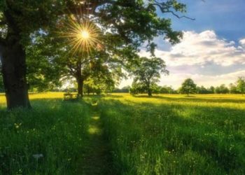 PROGNOZA METEOROLOGICĂ PENTRU WEEKEND