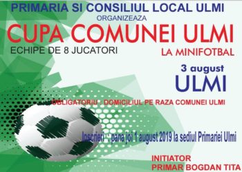 CUPA COMUNEI ULMI
