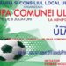CUPA COMUNEI ULMI