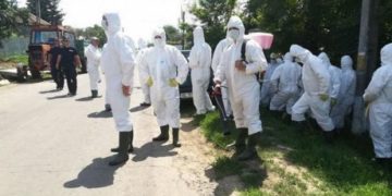 NOI CAZURI DE PESTA PORCINĂ ÎN DÂMBOVIȚA