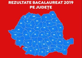 PROMOVABILITATE ÎN SCĂDERE LA BAC ÎN JUDEȚUL DÂMBOVIȚA