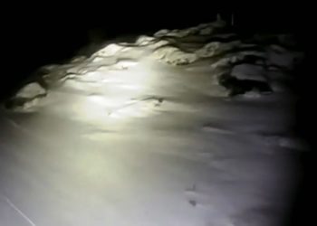 LA VÂRFUL OMU A NINS