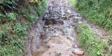 O VIITURĂ PUTERNICĂ LE-A DISTRUS SINGURA CĂRARE CĂTRE CIVILIZAȚIE
