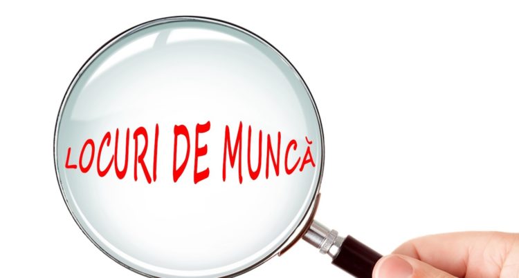 ÎN BAZA DE DATE A AJOFM DÂMBOVIȚA SUNT ÎNREGISTRATE ASTĂZI 459 DE LOCURI DE MUNCĂ