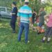 UN BĂIEȚEL DE 8 ANI DIN VALEA LUNGĂ A VĂZUT MOARTEA CU OCHII FIIND SALVAT ÎN EXTREMIS DE BUNICUL SĂU – ELICOPETRUL SMURD A VENIT LA FAȚA LOCULUI