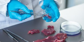 NOI CAZURI DE PESTĂ PORCINĂ CONFIRMATE ÎN JUDEȚUL DÂMBOVIȚA