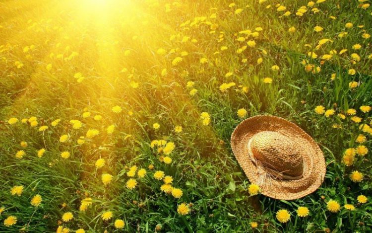 PROGNOZA METEOROLOGICĂ
