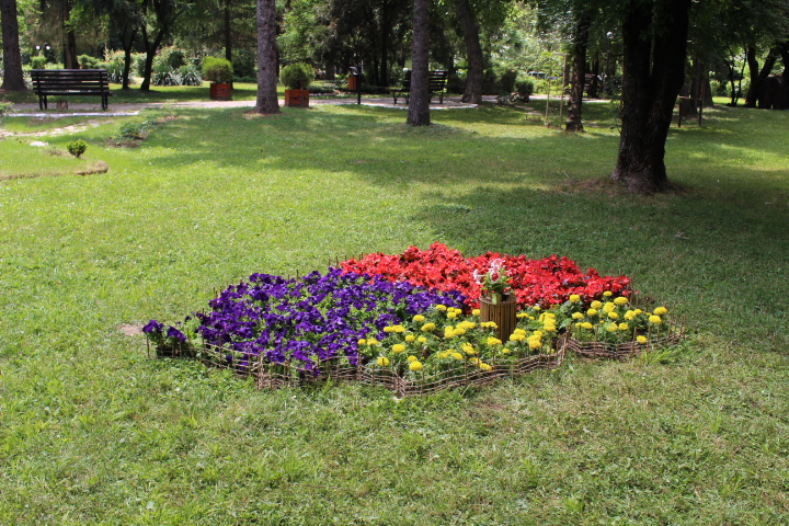 FESTIVALUL – CONCURS „GRĂDINILE INTERNAȚIONALE ALE TÂRGOVIȘTEI” EDIȚIA A III -A