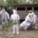VIRUSUL DE PESTĂ PORCINĂ AFRICANĂ CONFIRMAT ÎN LOCALITATEA RACOVIȚA – COMUNA BUCȘANI