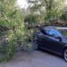 UN TÂRGOVIȘTEAN S-A ALES CU MAȘINA DISTRUSĂ DUPĂ CE A PARCAT-O ÎN ZONA PARCULUI CHINDIA. UN COPAC BĂTRÂN S-A RUPT ȘI A CĂZUT PESTE AUTOTURISM