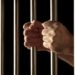 MANDAT DE EXECUTARE A UNEI PEDEPSE PRIVATIVE DE LIBERTATE, PUS ÎN APLICARE DE POLIȚIȘTI