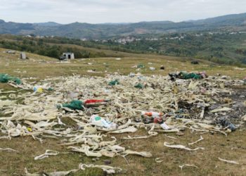 DEZASTRU ECOLOGIC LA RUNCU! GARDA DE MEDIU TREBUIE SĂ INTERVINĂ DE URGENȚĂ!