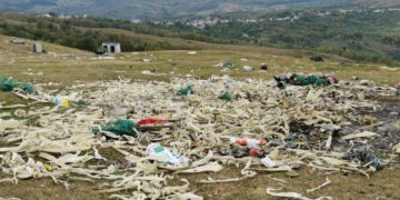 DEZASTRU ECOLOGIC LA RUNCU! GARDA DE MEDIU TREBUIE SĂ INTERVINĂ DE URGENȚĂ!