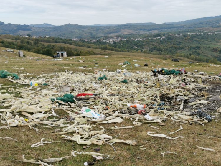 DEZASTRU ECOLOGIC LA RUNCU! GARDA DE MEDIU TREBUIE SĂ INTERVINĂ DE URGENȚĂ!