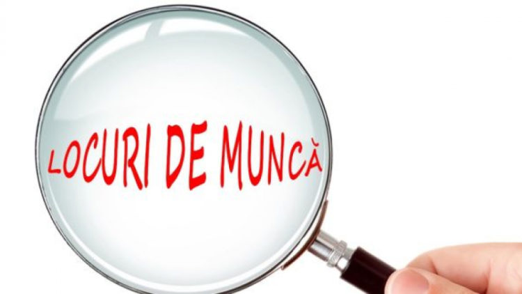 ÎN BAZA DE DATE AJOFM DÂMBOVIȚA SUNT ÎNREGISTRATE ASTĂZI 666 DE LOCURI DE MUNCĂ