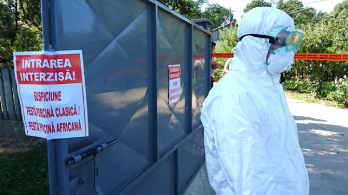 PESTA PORCINĂ CONFIRMATĂ ÎNTR-O GOSPODĂRIE DIN SILIȘTEA – COMUNA RACIU