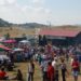 ÎN ACEST WEEKEND, SE DESFĂȘOARĂ LA RUNCU A 28-A EDIȚIE „RĂVĂȘITUl OILOR”