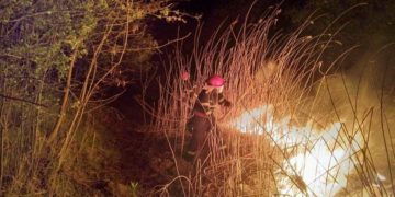 UN INCENDIU A MISTUIT MII DE METRI PĂTRAȚI DE VEGETAȚIE USCATĂ