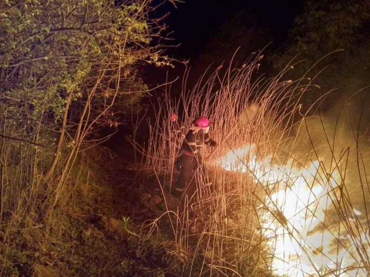 UN INCENDIU A MISTUIT MII DE METRI PĂTRAȚI DE VEGETAȚIE USCATĂ