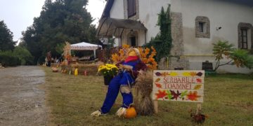 PRIMA EDIȚIE A SERBĂRILOR TOAMNEI, ORGANIZATE DE PRIMĂRIA DRAGODANA, A STRÂNS PESTE 1000 DE LOCALNICI