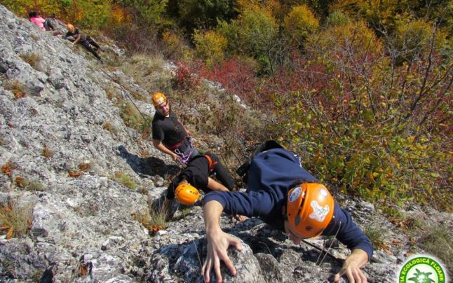 A PATRA EDIȚIE A CONCURSURILOR MONTANE DOTATE CU ”CUPA FLOARE DE COLȚ” S-A DERULAT ÎN PERIOADA 18 – 20 OCTOMBRIE