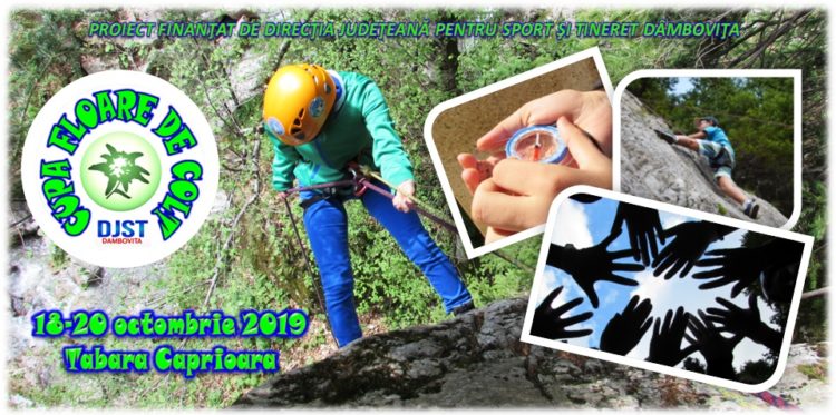 ASOCIAȚIA ECOLOGICĂ FLOARE DE COLȚ DERULEAZĂ, ÎN PERIOADA 18-20 OCTOMBRIE ACTIVITĂȚILE PRACTICE ALE PROIECTULUI ”CUPA FLOARE DE COLȚ”, EDIȚIA A IV-A