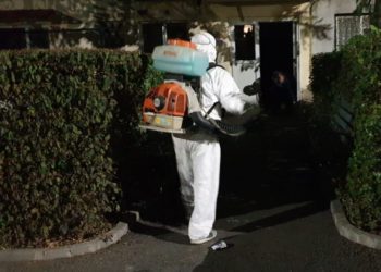 ACȚIUNE DE COMBATERE A INSECTEI DENUMITE ”TIGRUL PLATANULUI”!