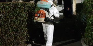 ACȚIUNE DE COMBATERE A INSECTEI DENUMITE ”TIGRUL PLATANULUI”!