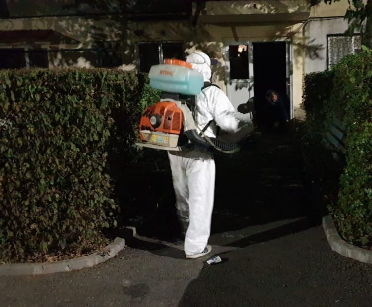 ACȚIUNE DE COMBATERE A INSECTEI DENUMITE ”TIGRUL PLATANULUI”!
