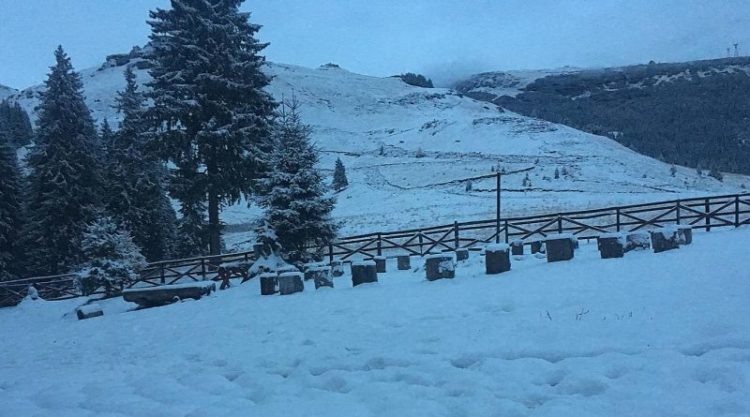 STAȚIUNEA MONTANĂ PADINA – PEȘTERA ESTE ACOPERITĂ DE PRIMUL STRAT CONSISTENT DE ZĂPADĂ