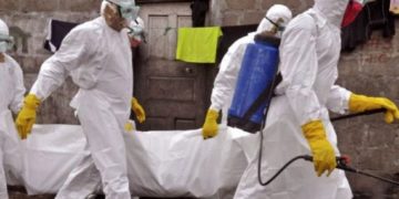 PESTA PORCINĂ CONFIRMATĂ ÎNTR-O GOSPODĂRIE DIN LOCALITATEA MIULEȘTI – COMUNA ODOBEȘTI