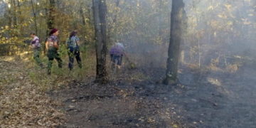 S-A DAT ALARMA ÎN SUDUL JUDEȚULUI DÂMBOVIȚA, ÎN COMUNA ULIEȘTI! UN INCENDIU DE VEGETAȚIE, SCĂPAT DE SUB CONTROL, A CUPRINS ȘI PĂDUREA DIN VECINĂTATE