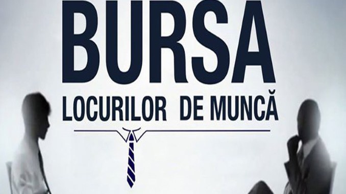 VINERI 18 OCTOMBRIE, BURSA LOCURILOR DE MUNCĂ PENTRU ABSOLVENȚI