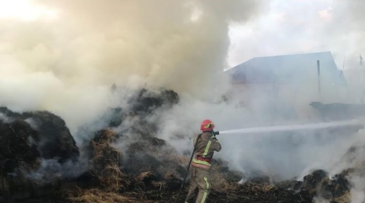 S-A ABĂTUT NECAZUL ASUPRA UNEI FAMILII DIN SATUL COLANU, COMUNA ULMI,CARE, ÎN PRAG DE IARNĂ, A RĂMAS FĂRĂ HRANĂ PENTRU ANIMALE. SUTE DE BALOȚI DE FÂN AU FOST TRANSFORMAȚI ÎN SCRUM.