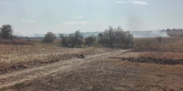 MAI MULT DE 10 HECTARE AU FOST CUPRINSE DE FLĂCĂRI ÎN ZONA AGRICOLĂ A COMUNEI CORBII MARI
