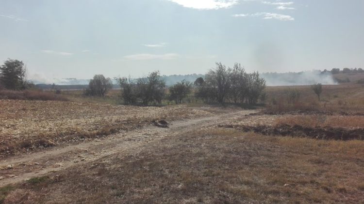 MAI MULT DE 10 HECTARE AU FOST CUPRINSE DE FLĂCĂRI ÎN ZONA AGRICOLĂ A COMUNEI CORBII MARI