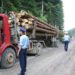 UN BĂRBAT DIN VOINEȘTI A FOST SANCȚIONAT DE POLIȚIȘTI, PENTRU NERESPECTAREA PREVEDERILOR LEGALE DIN DOMENIUL SILVICULTURII