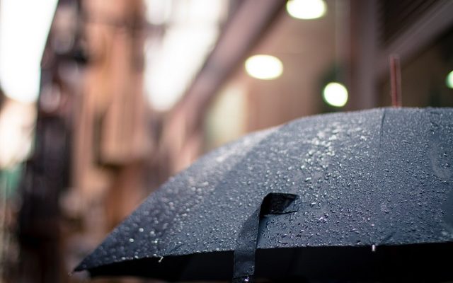 VREME DEOSEBIT DE RECE SI NINSORI LA MUNTE