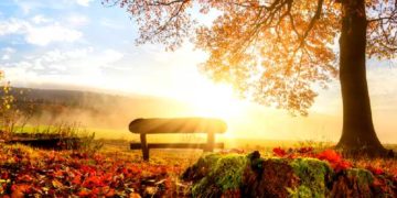 PROGNOZA METEO ESTE UNA EXTREM DE OPTIMISTĂ PENTRU ACEASTĂ PERIOADĂ