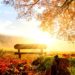 PROGNOZA METEO ESTE UNA EXTREM DE OPTIMISTĂ PENTRU ACEASTĂ PERIOADĂ