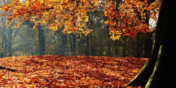 DE MIERCURI, VREMEA SE VA ÎNCĂLZI TREPTAT ȘI VOM AVEA PARTE DE TEMPERATURI CHIAR MAI RIDICATE DECÂT NORMALUL PERIOADEI DIN AN