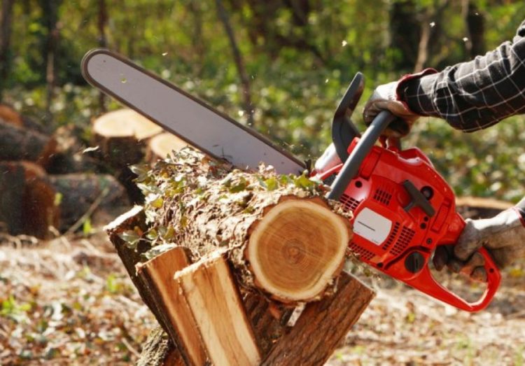 UN TÂNĂR DIN SPERIEȚENI A AJUNS ÎN STARE GRAVĂ DUPĂ CE S-A RĂNIT CU O DRUJBĂ ÎN TIMP CE TĂIA LEMNE