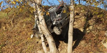 UN TÂNĂR DIN MOȚĂIENI A URCAT MAȘINA IN… NUC IAR TATĂL SAU ”ȘI-A LUAT FAPTA”!