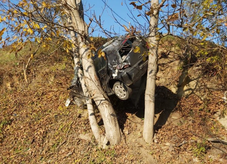 UN TÂNĂR DIN MOȚĂIENI A URCAT MAȘINA IN… NUC IAR TATĂL SAU ”ȘI-A LUAT FAPTA”!