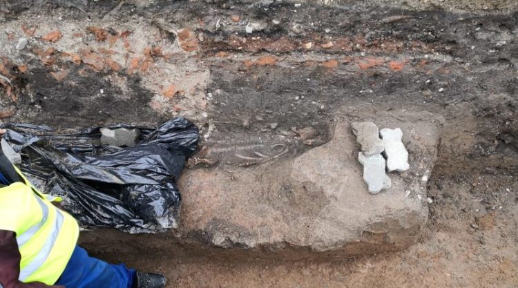 Schelet descoperit în zona centrului istoric