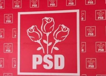 PSD va contesta la Curtea Constituțională asumările PNL